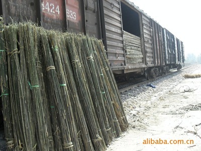 供应安竹与江西苇 文安县永兴竹品销售处的专业林业产品服务