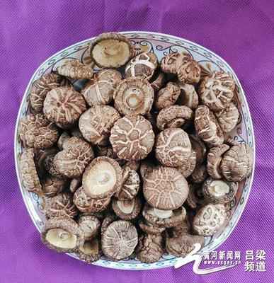 交口县 '三宝'跨上'高速路'，走出深闺天下识