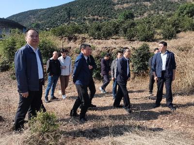 抚州市林业局推动林业产品销售 绿色产业助力地方经济