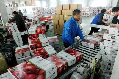 国家林草局组织产销对接助力林业复产复工，畅通产品销售渠道