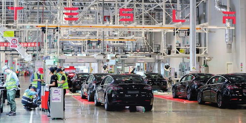 上海特斯拉超级工厂再创历史纪录 6月国内销售激增138%，林业产品销售亮点纷呈